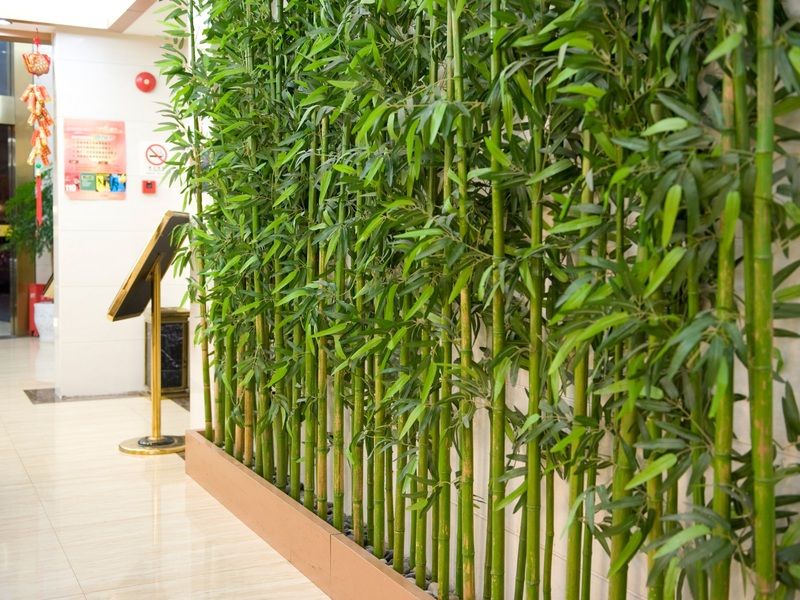 Shanghai Amersino Hotel Ngoại thất bức ảnh